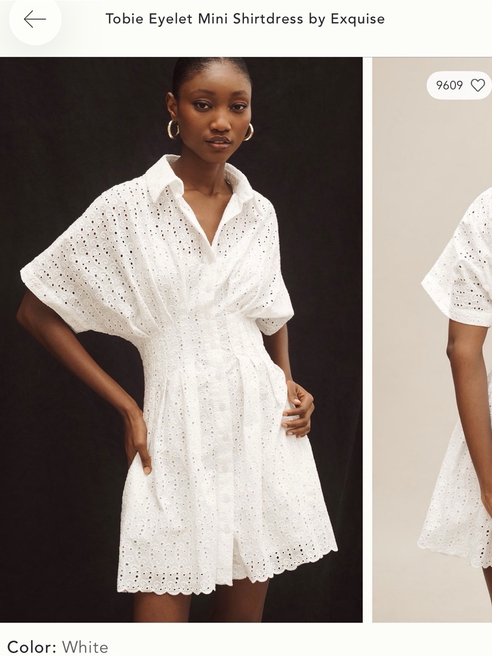 Tobie Eyelet Dress